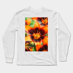 Lilium  'Cooper's Crossing'  Lily	Asiatic lily Long Sleeve T-Shirt